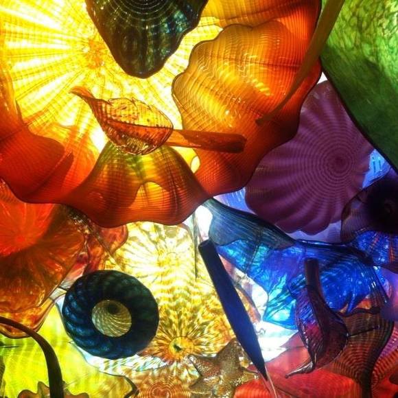 Meet your Posher, Barb - Picture 1 of 1